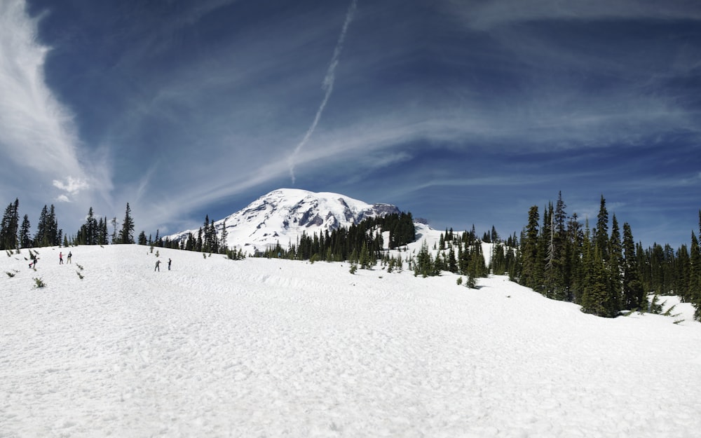 people walking on snow covered field under blue sky during daytime