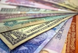 A collection of various international currencies displayed in a fanned out arrangement. The notes are colorful and include currencies from different countries, featuring intricate designs, text, and patterns.