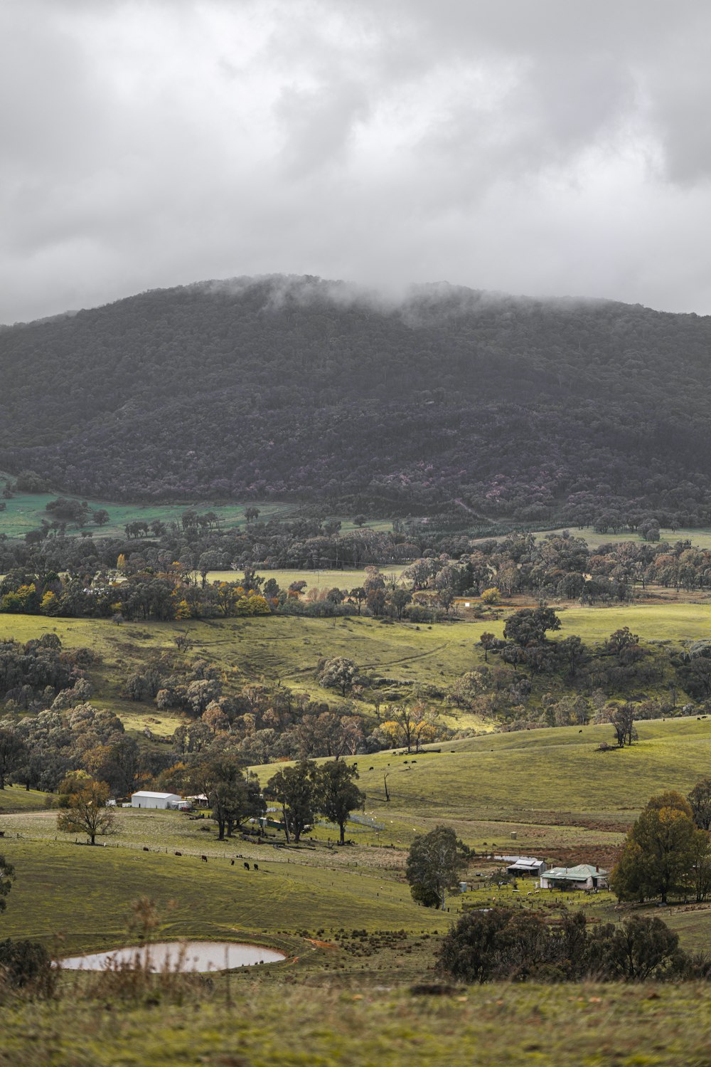 green grass field and trees covered mountain during daytime