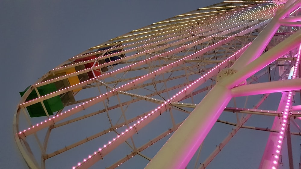 white and purple ferris wheel