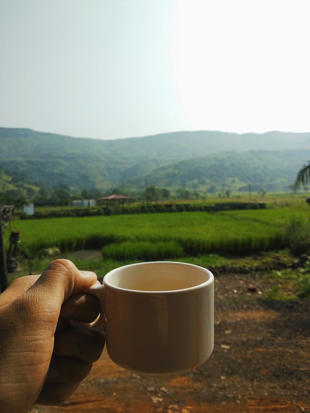 person holding white ceramic mug