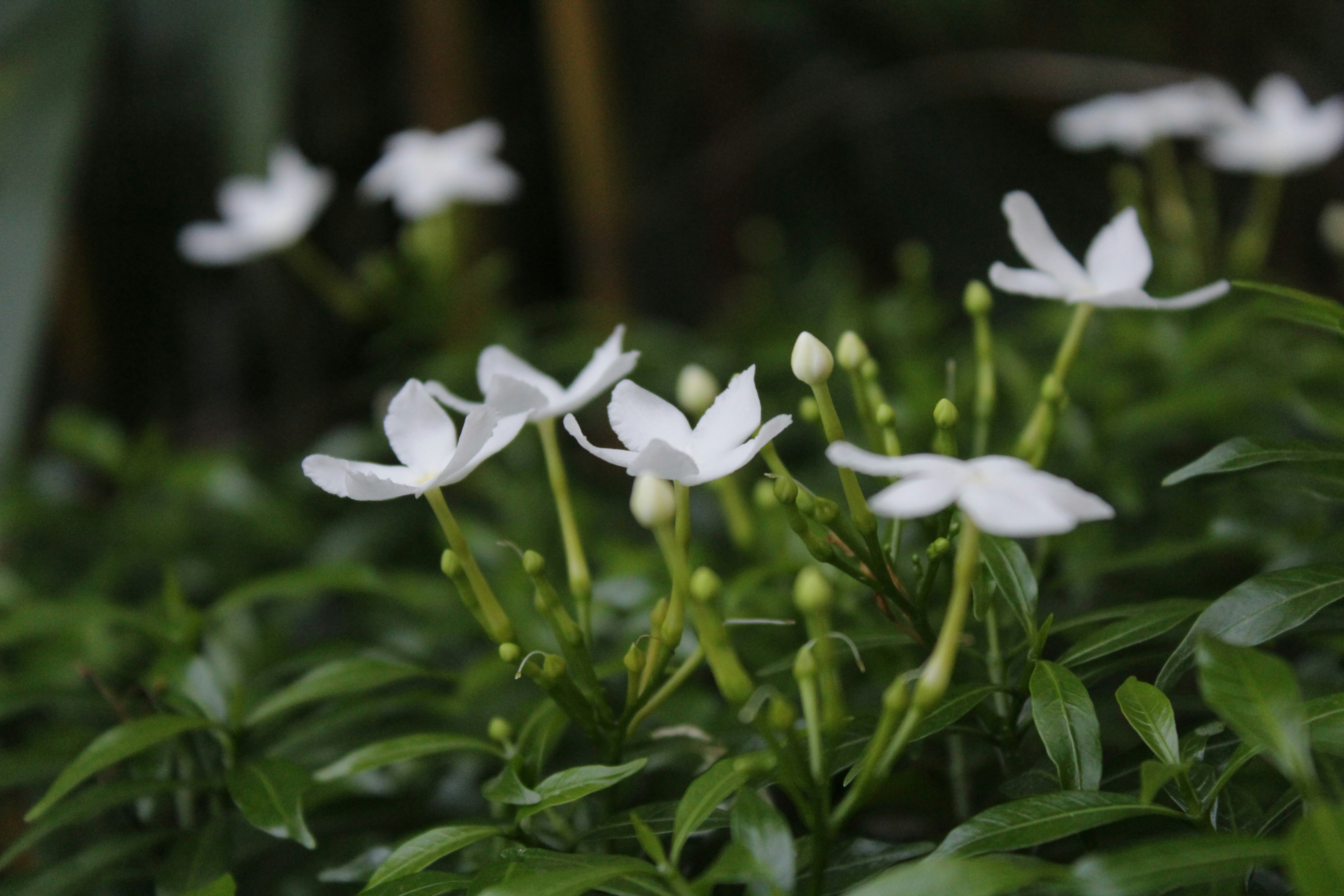 Photo by jinerationx_