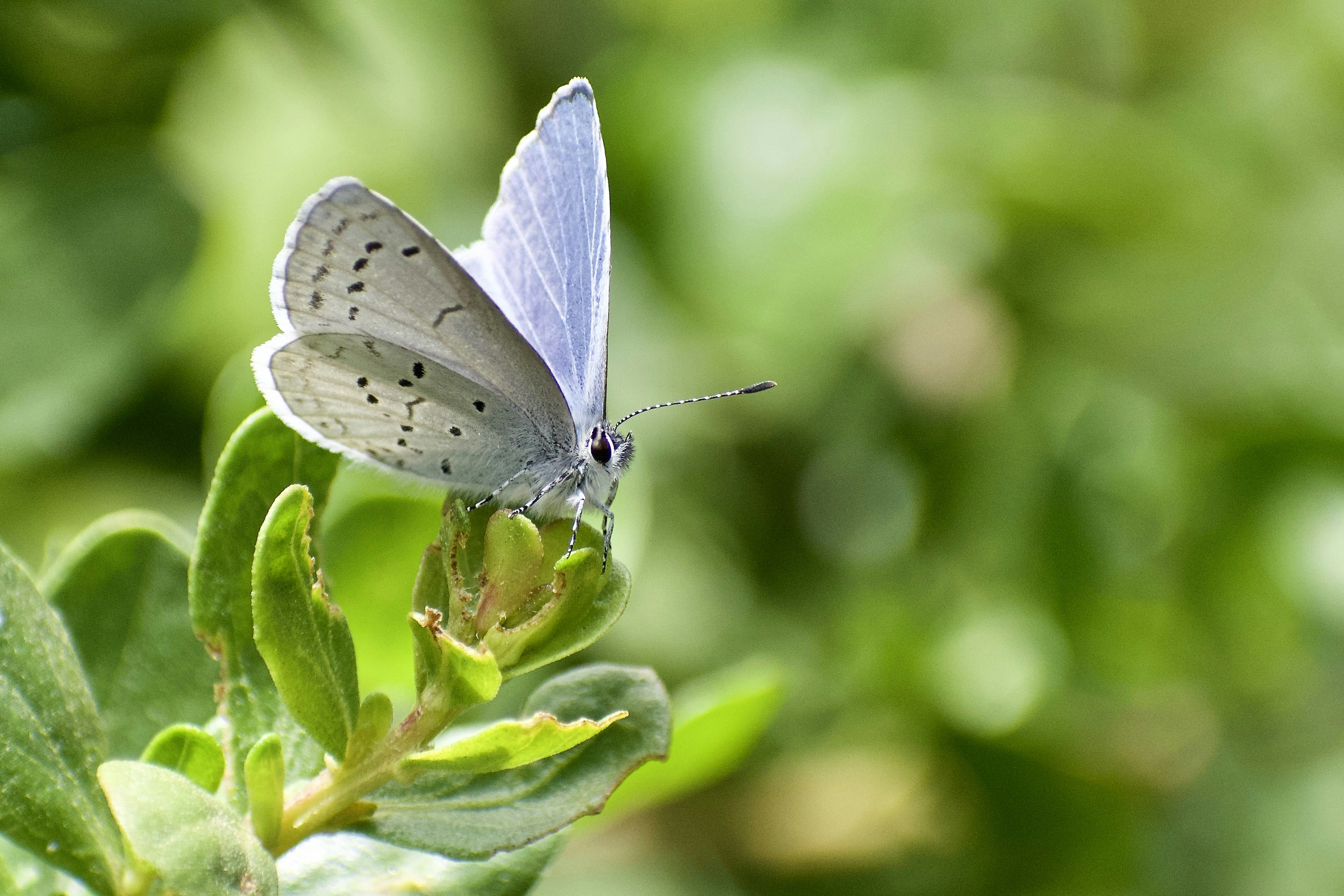 Photo by elisastonephotography