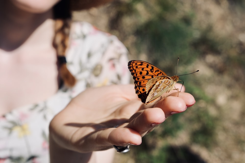 brown and black butterfly on persons hand