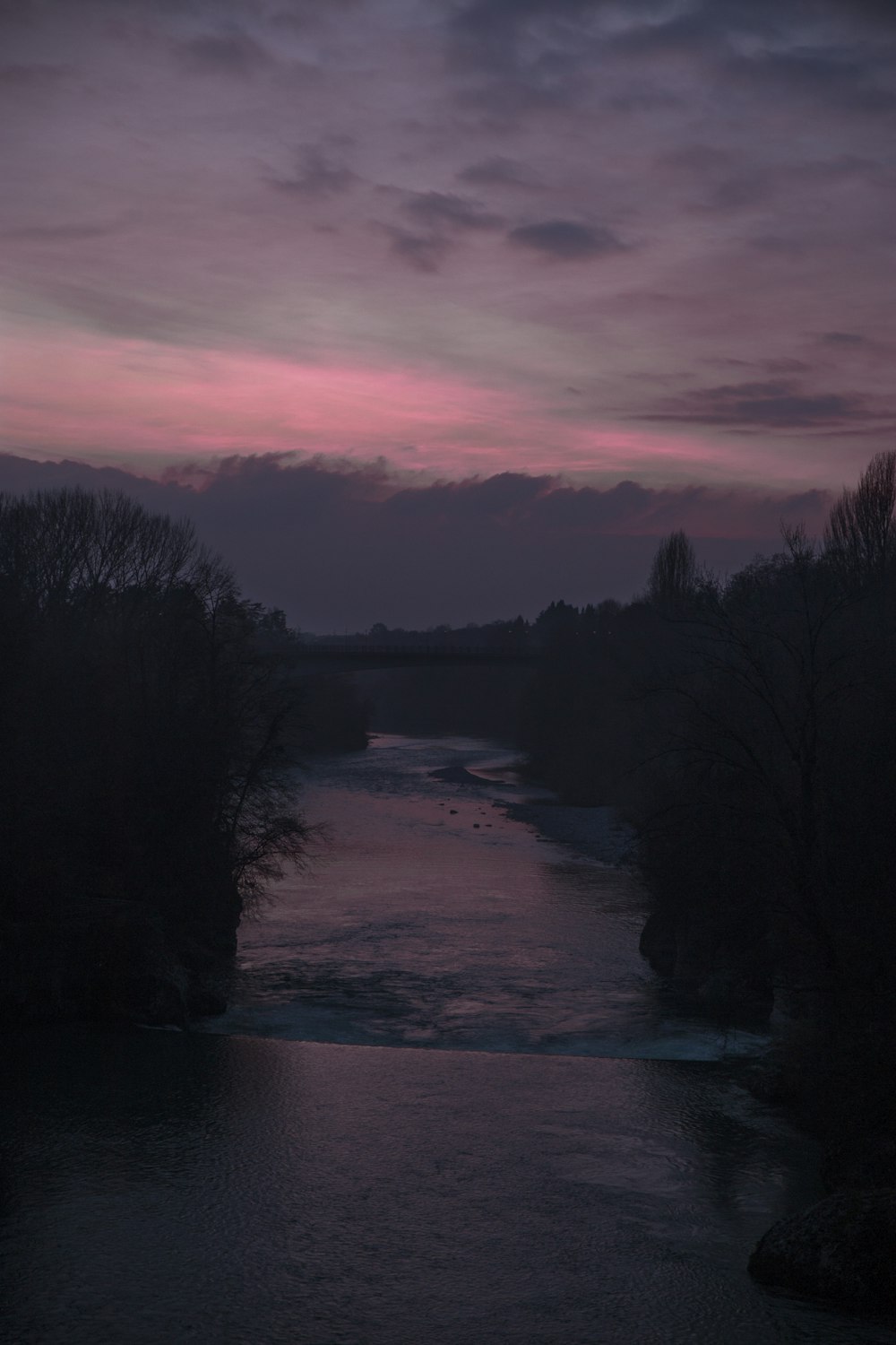 silhouette of trees near body of water during sunset