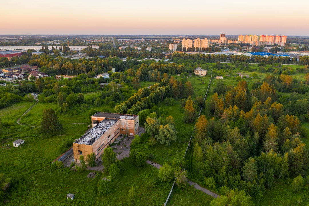 aerial view of green trees and brown buildings during daytime