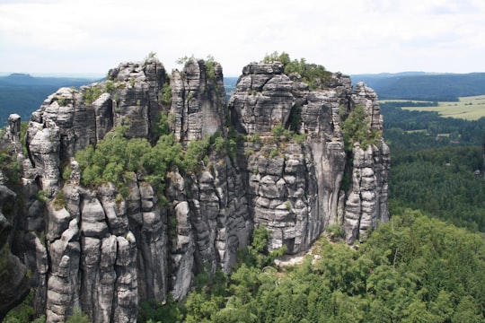 gray rocky mountain near green trees during daytime in Saxon Switzerland National Park Germany