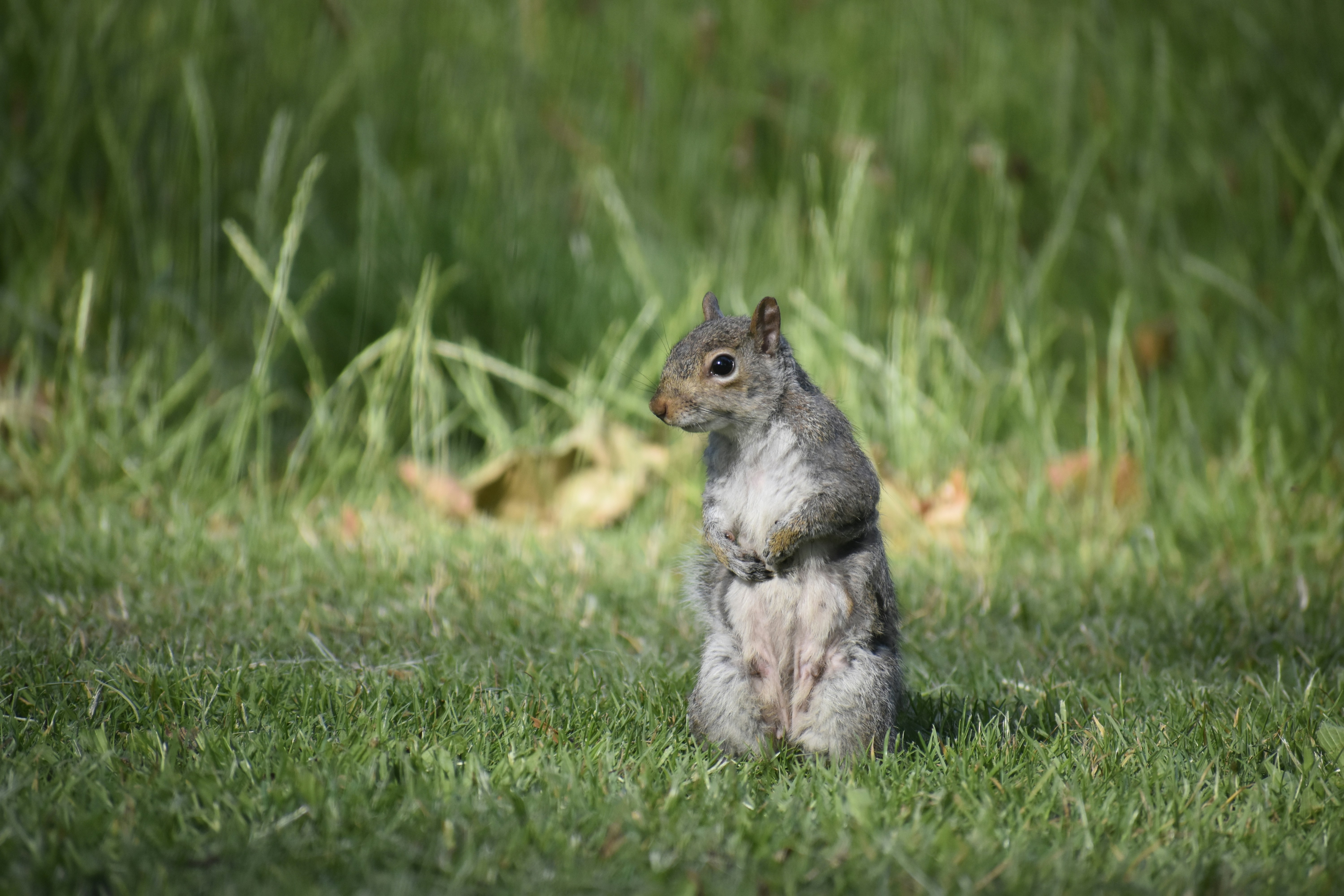 Photo by bbutterworth