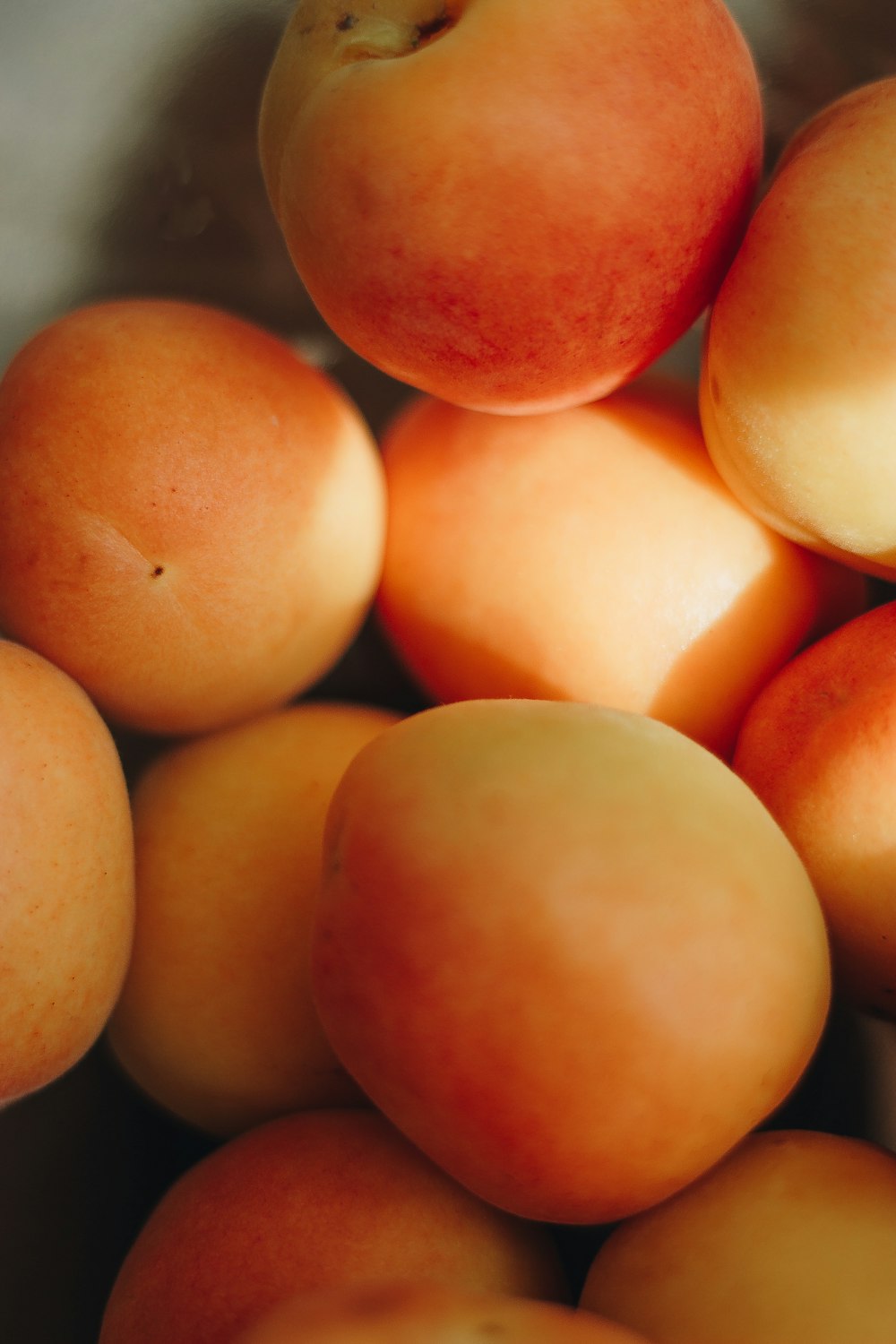 close up photo of orange fruits