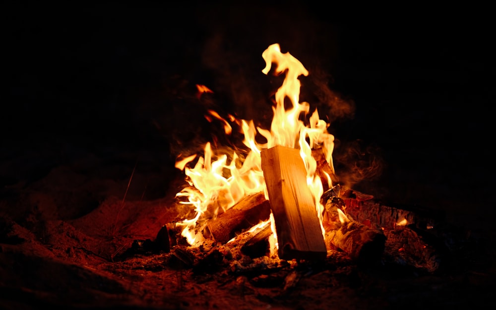fire on brown wooden log