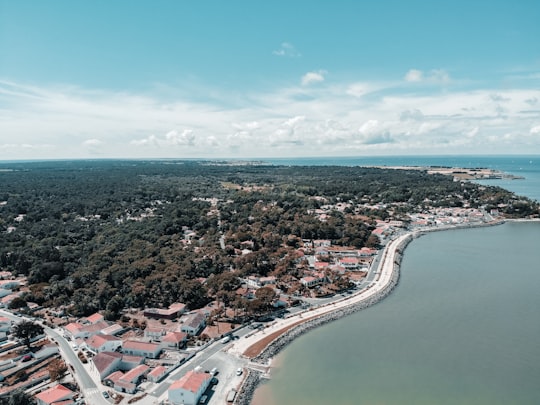 aerial view of city buildings during daytime in Île de Ré France
