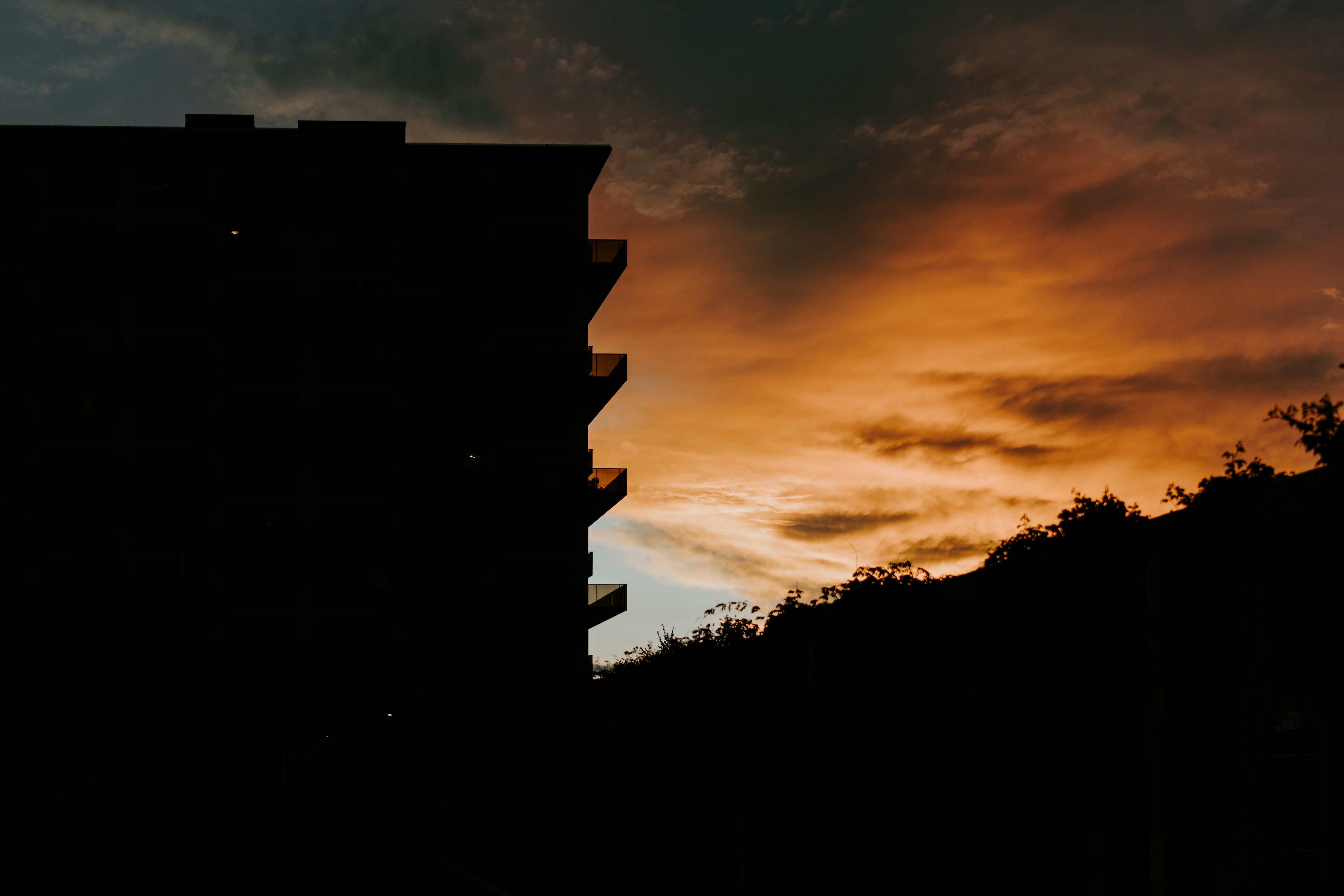 Photo by purzlbaum