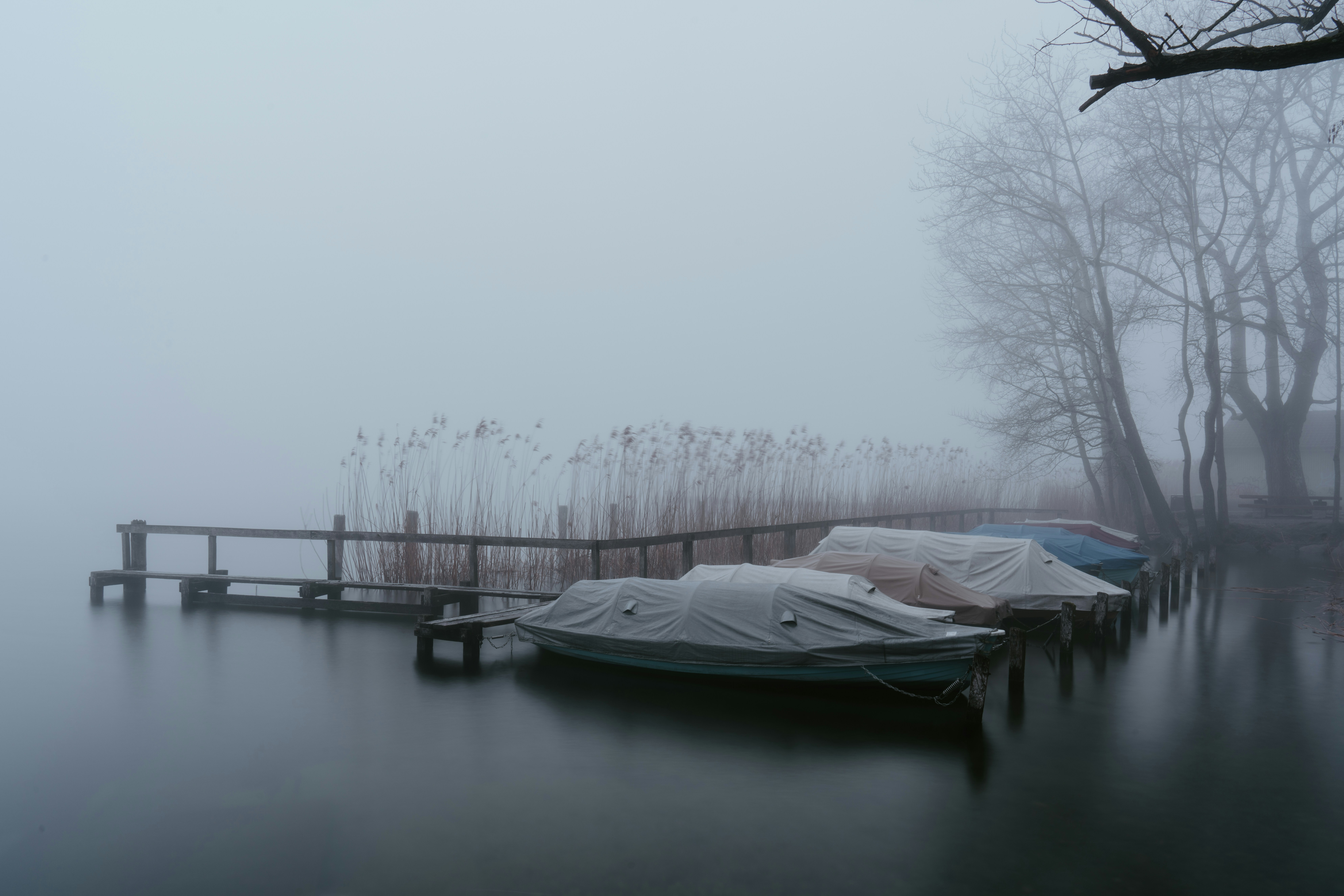 white boat on body of water during daytime