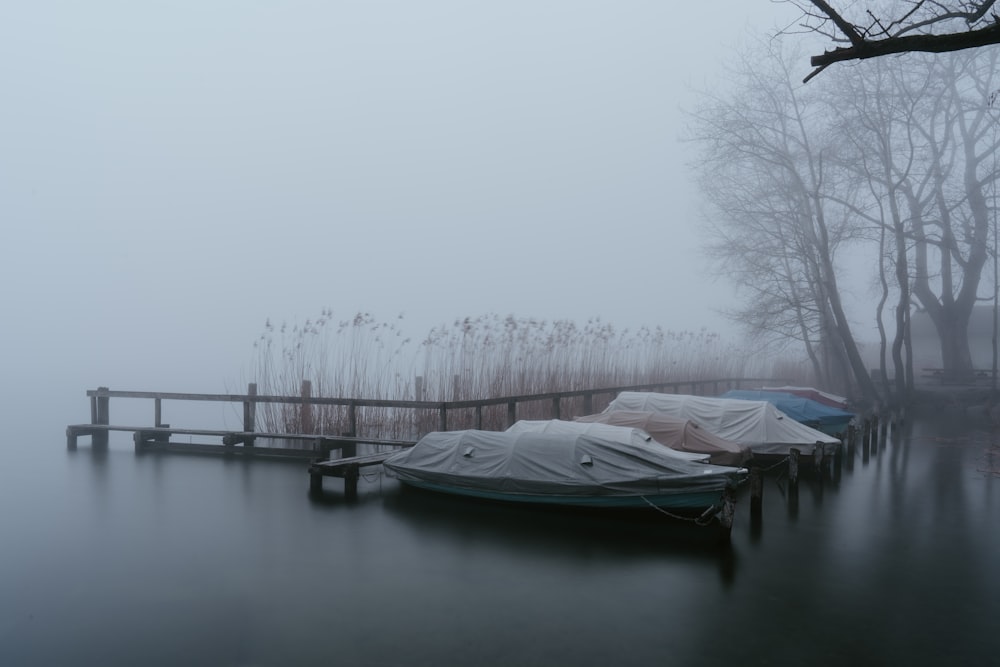 white boat on body of water during daytime