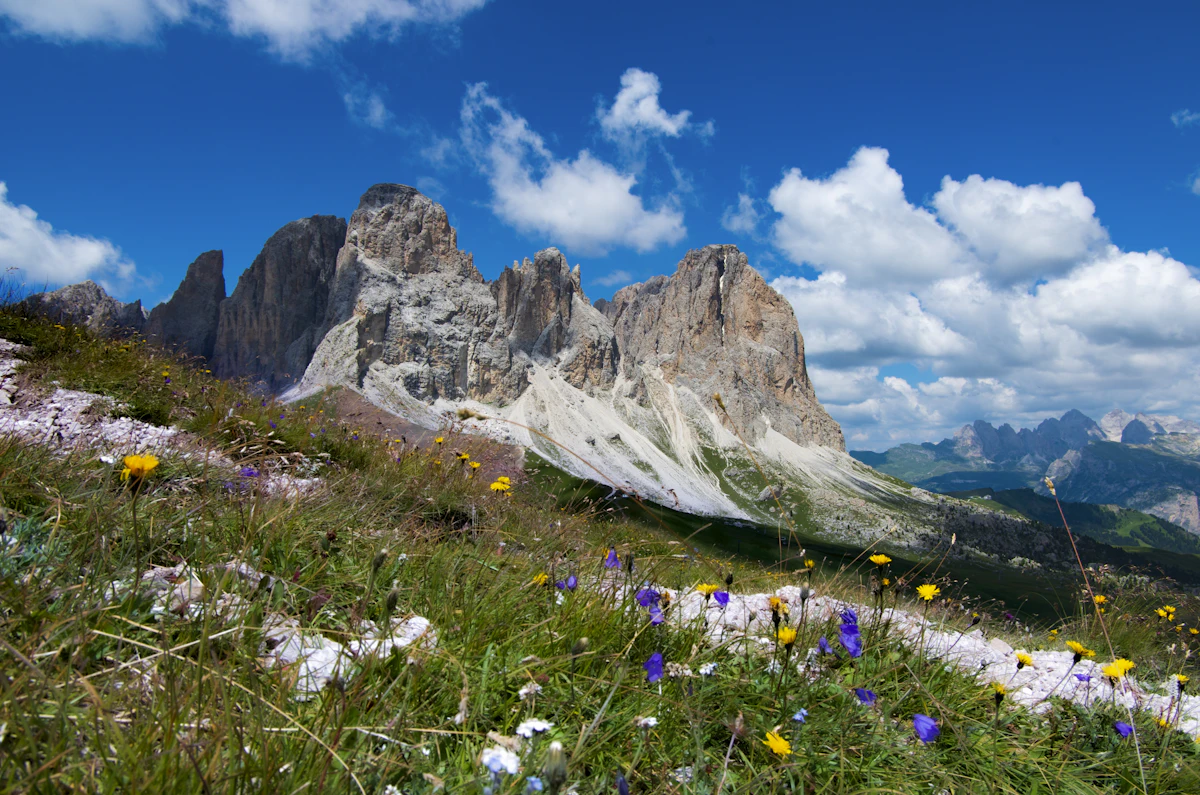 The jagged towers of the Sassolungo above a slope of wildflowers