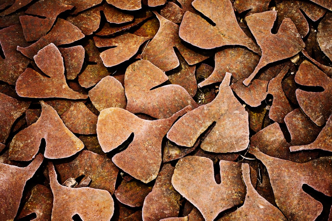 brown and black stone fragments