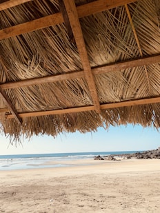 person in beach during daytime