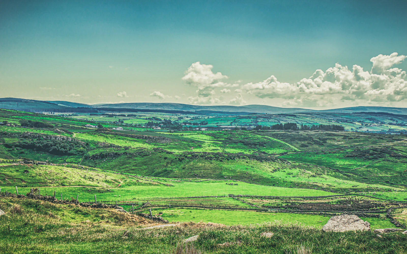 Green fields running to the sea at Fair Head, County Antrim