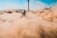 A joyful rider speeding across golden desert dunes on a quad bike under a clear blue sky.