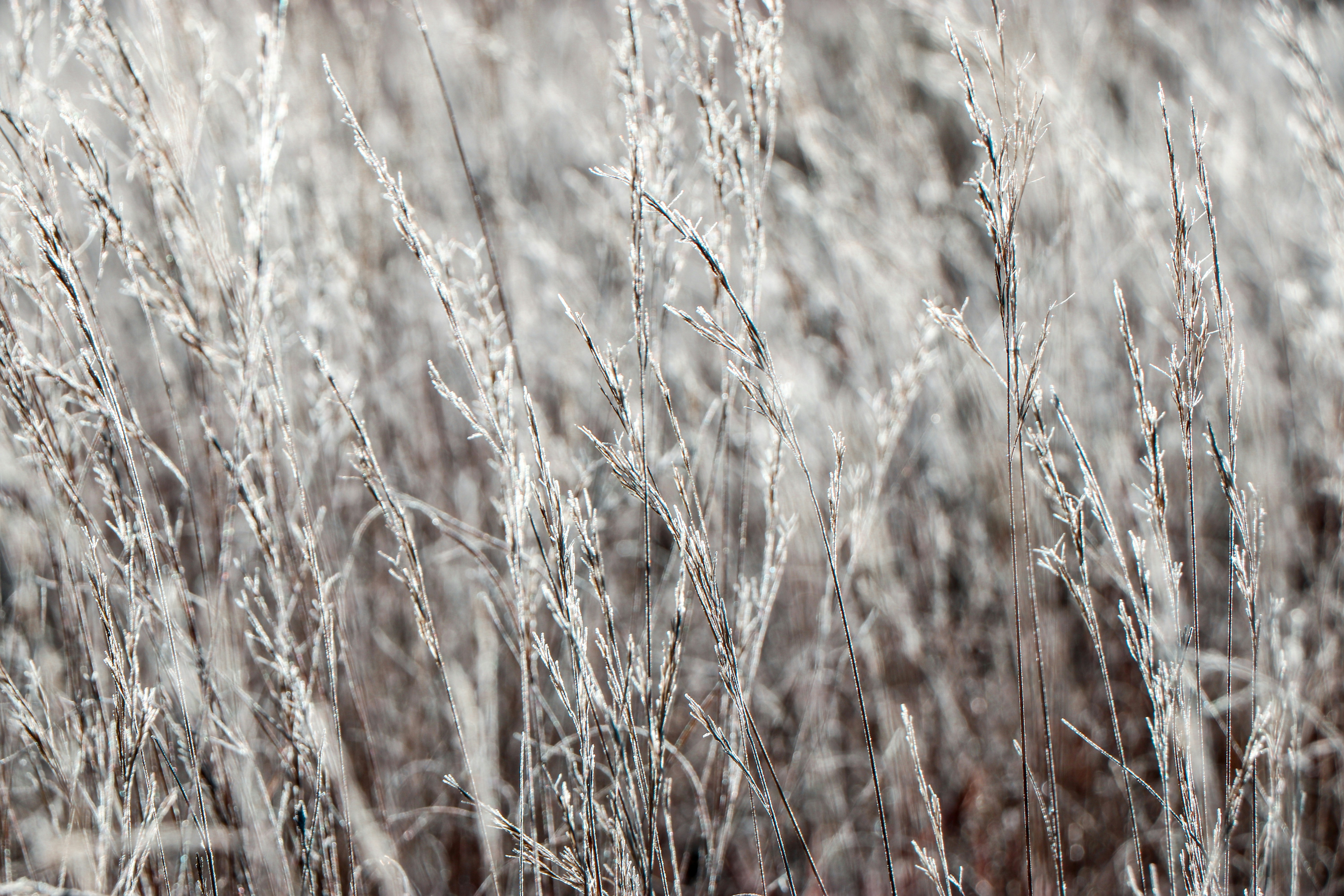 Photo by huntleytography