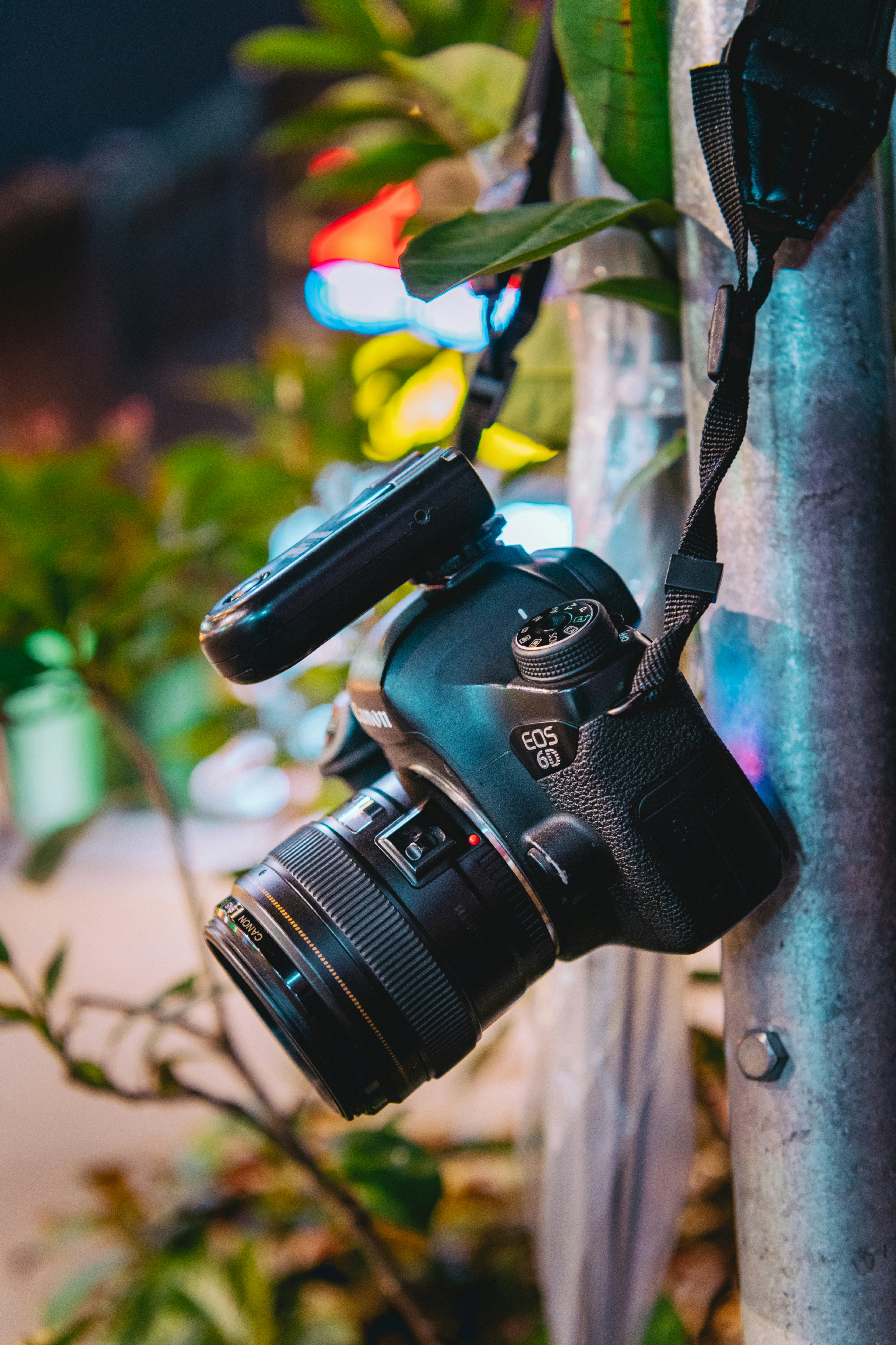 Photo by shaffuscanvas