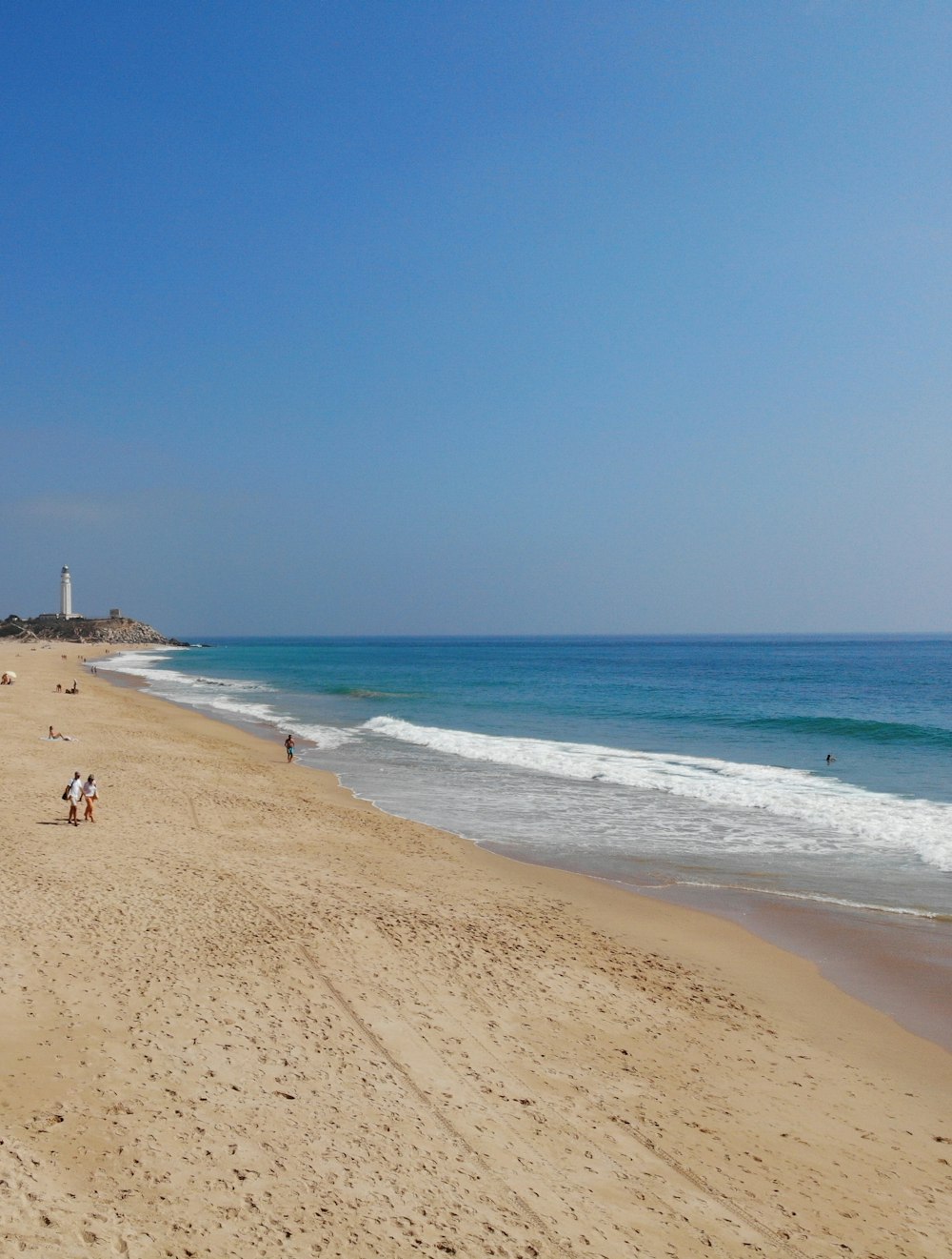 people on beach during daytime