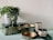 A collection of decorative items is arranged on a surface. A grey pot with trailing green foliage sits atop a rectangular box with intricate green and gold patterns. A two-tiered tray with gold interiors and green accents adds to the arrangement. Nearby, two cylindrical containers, decorated with black leaf designs, are placed on a matching green tray.