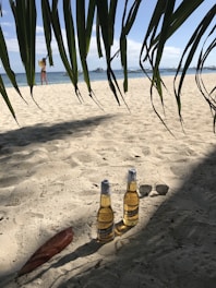Sunlit beach scene with a cold lager beer bottle and glass placed on sand near seashells.