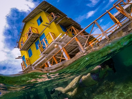brown wooden house on green water