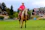 girl in pink long sleeve shirt riding brown horse during daytime