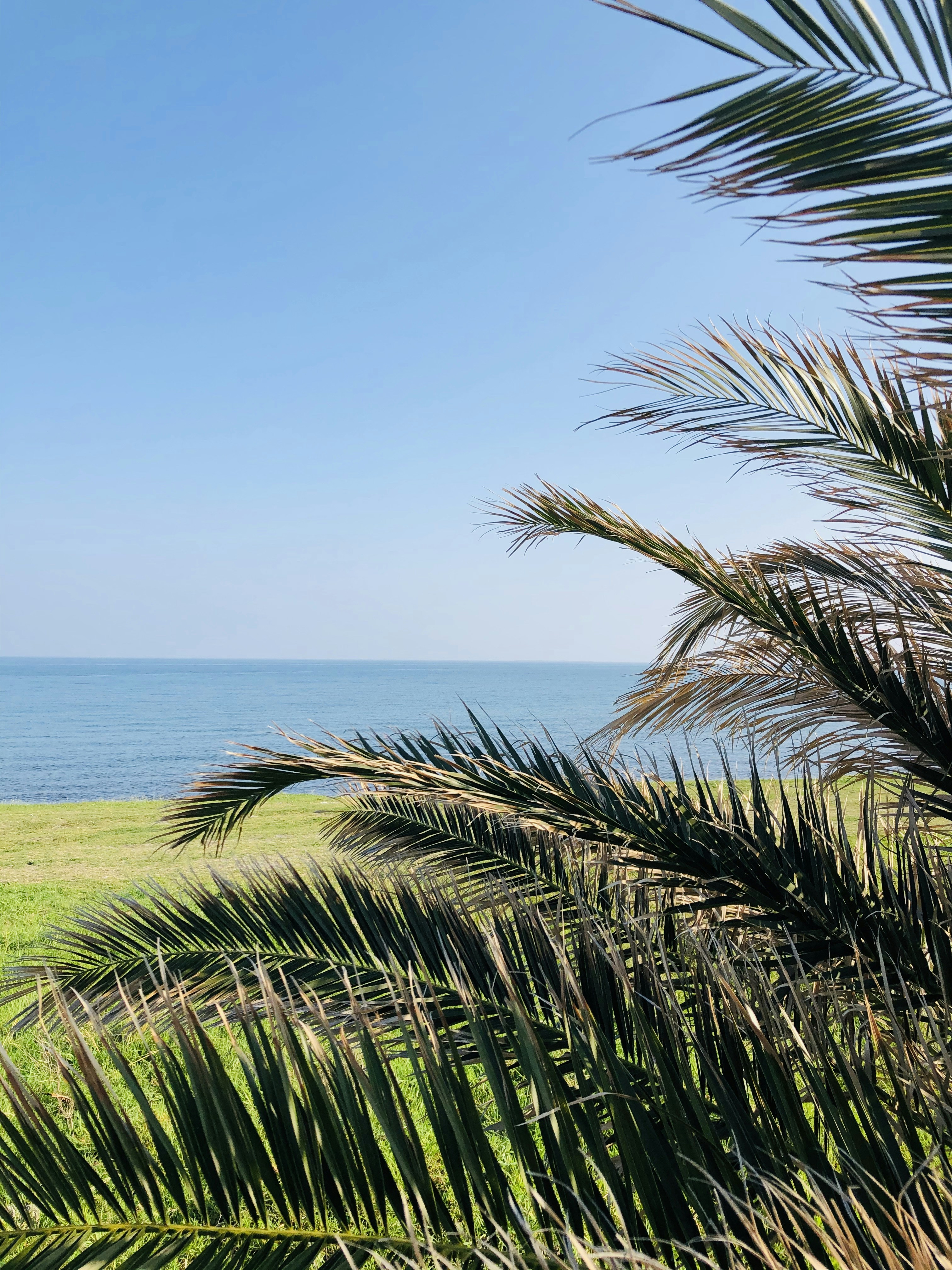 Photo by serenaygulsen