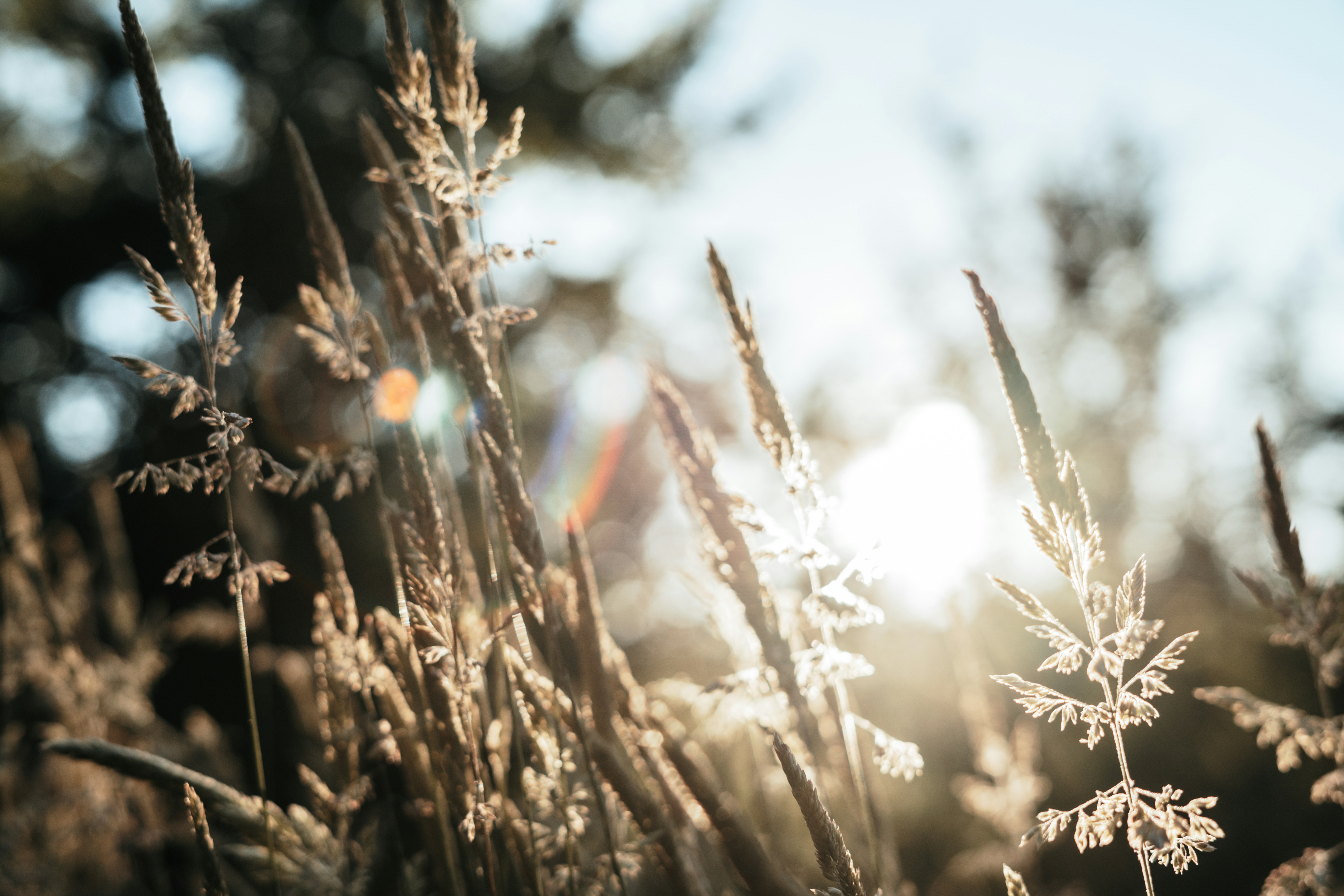 Photo by umityildirim