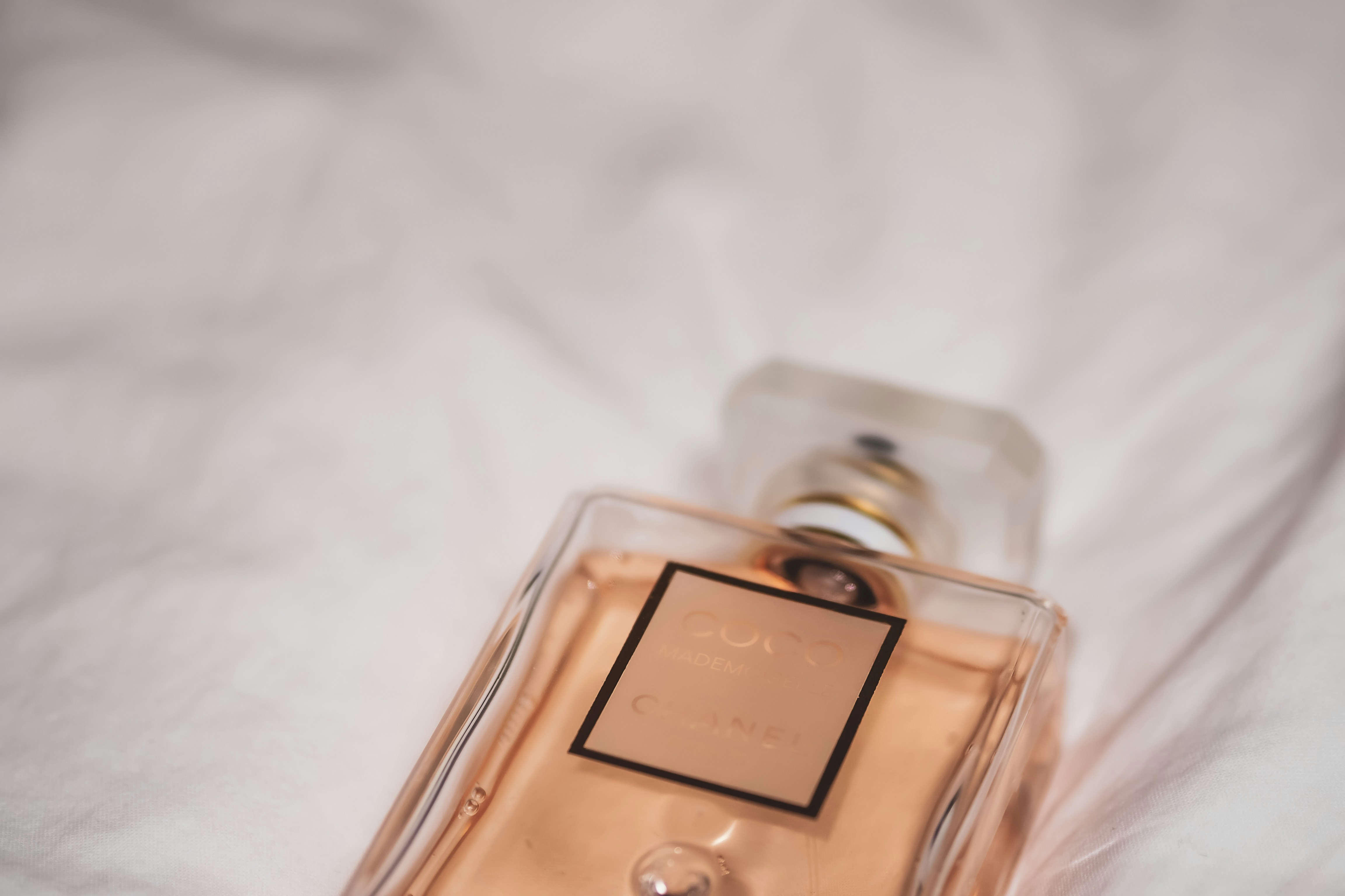 Photo by laurachouette