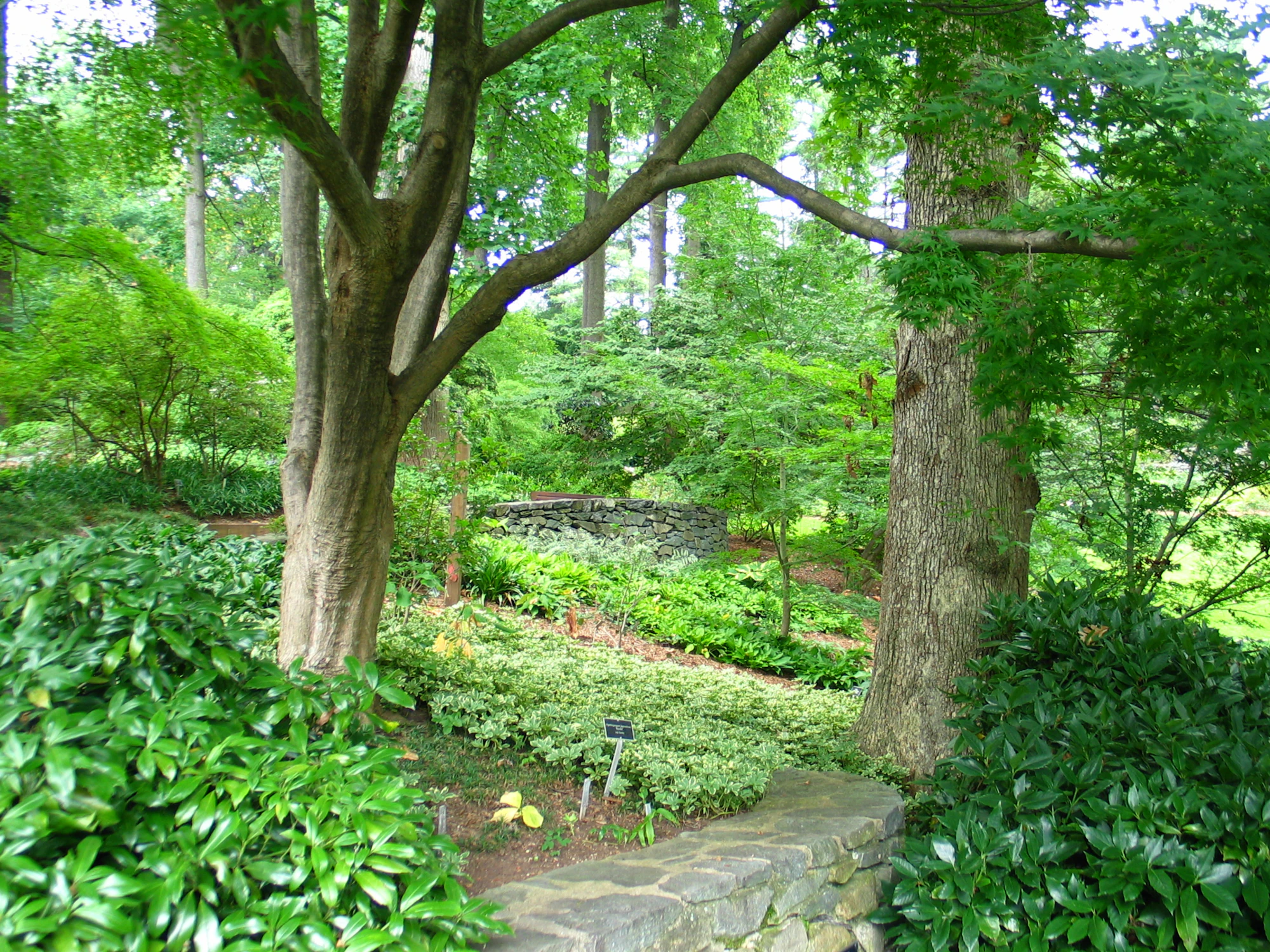 The Tree Center | Buy Trees, Shrubs & Plants Online UK