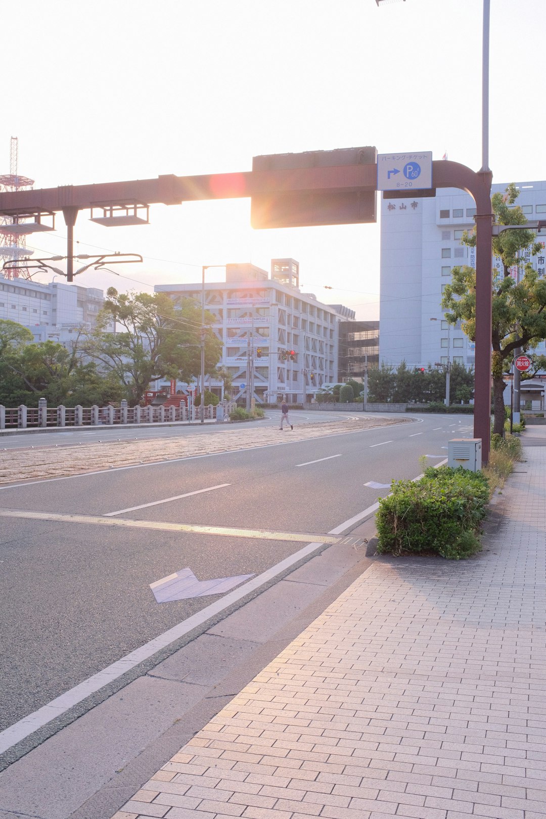 green trees near white concrete building during daytime