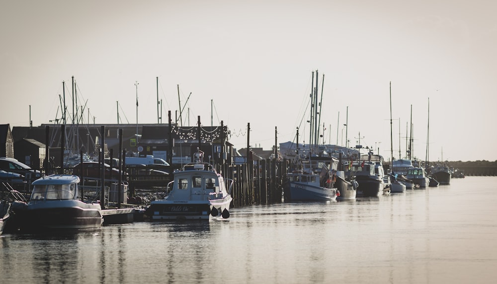 blue and white boat on dock during daytime