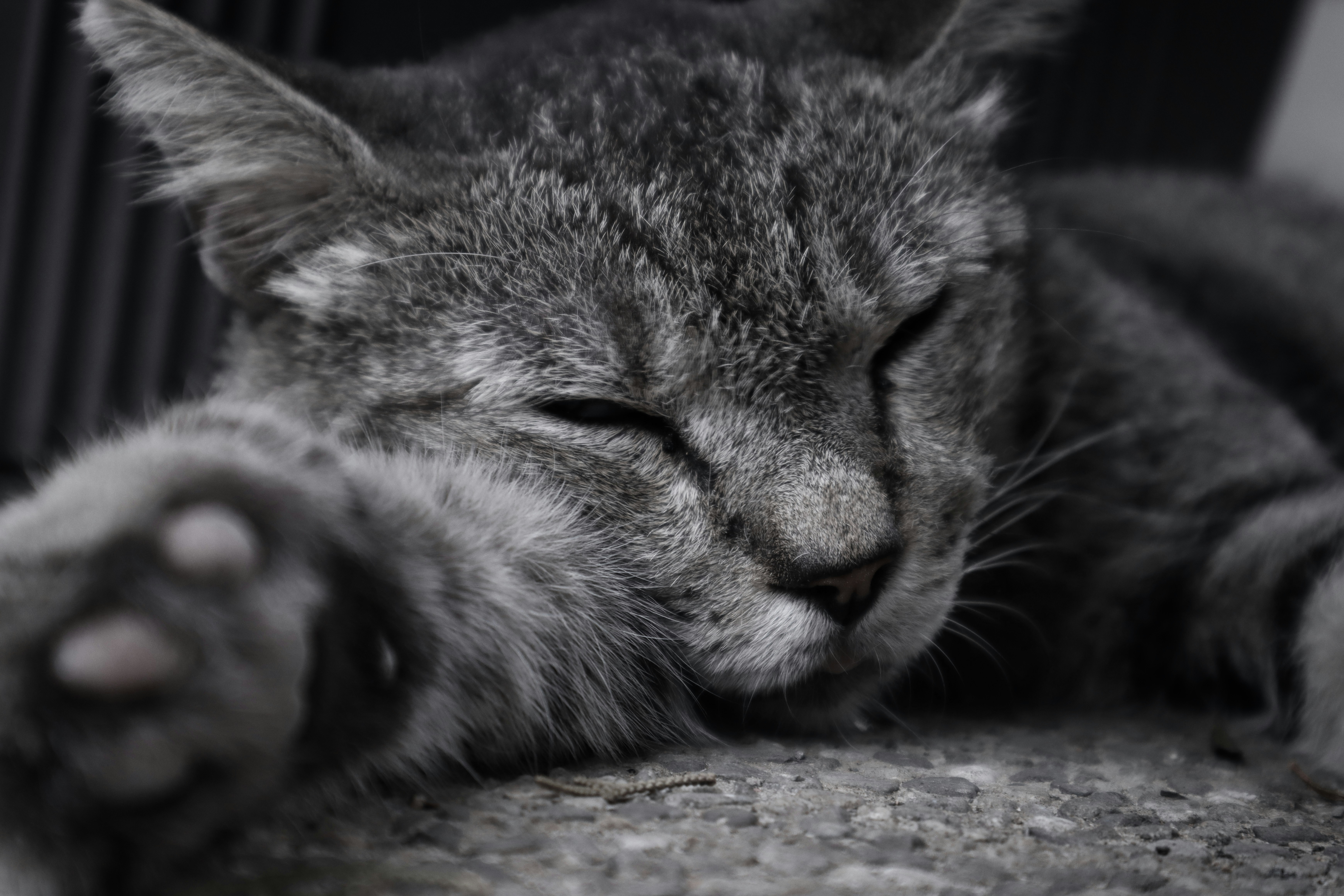 Photo by benjamin_1017