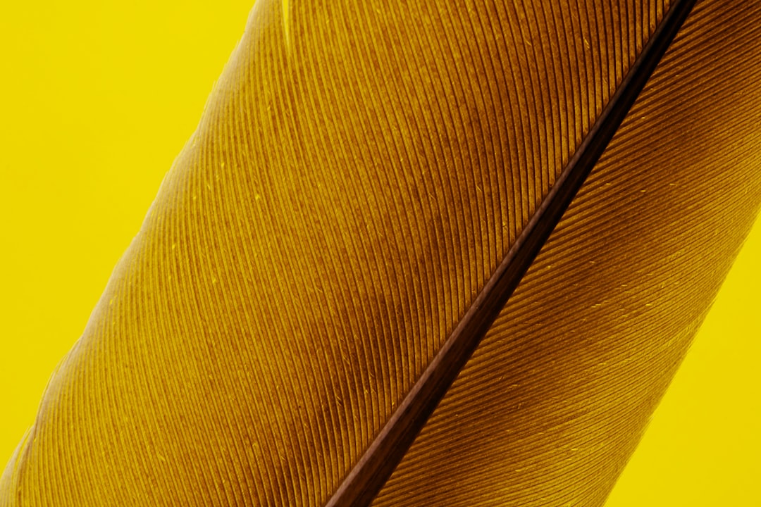 yellow textile with brown feather