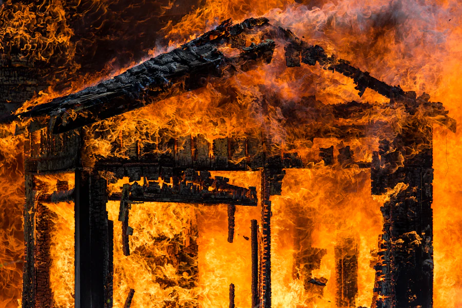 Chile Burned for Weeks in January. By March, Its New President Had Scrapped 43 Environmental Protections.