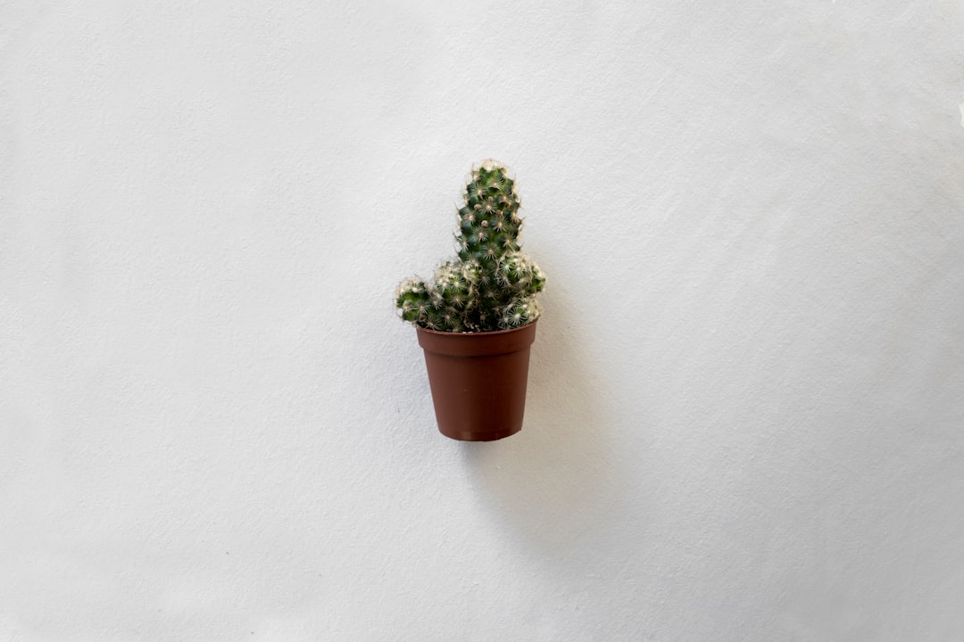 green plant on brown clay pot