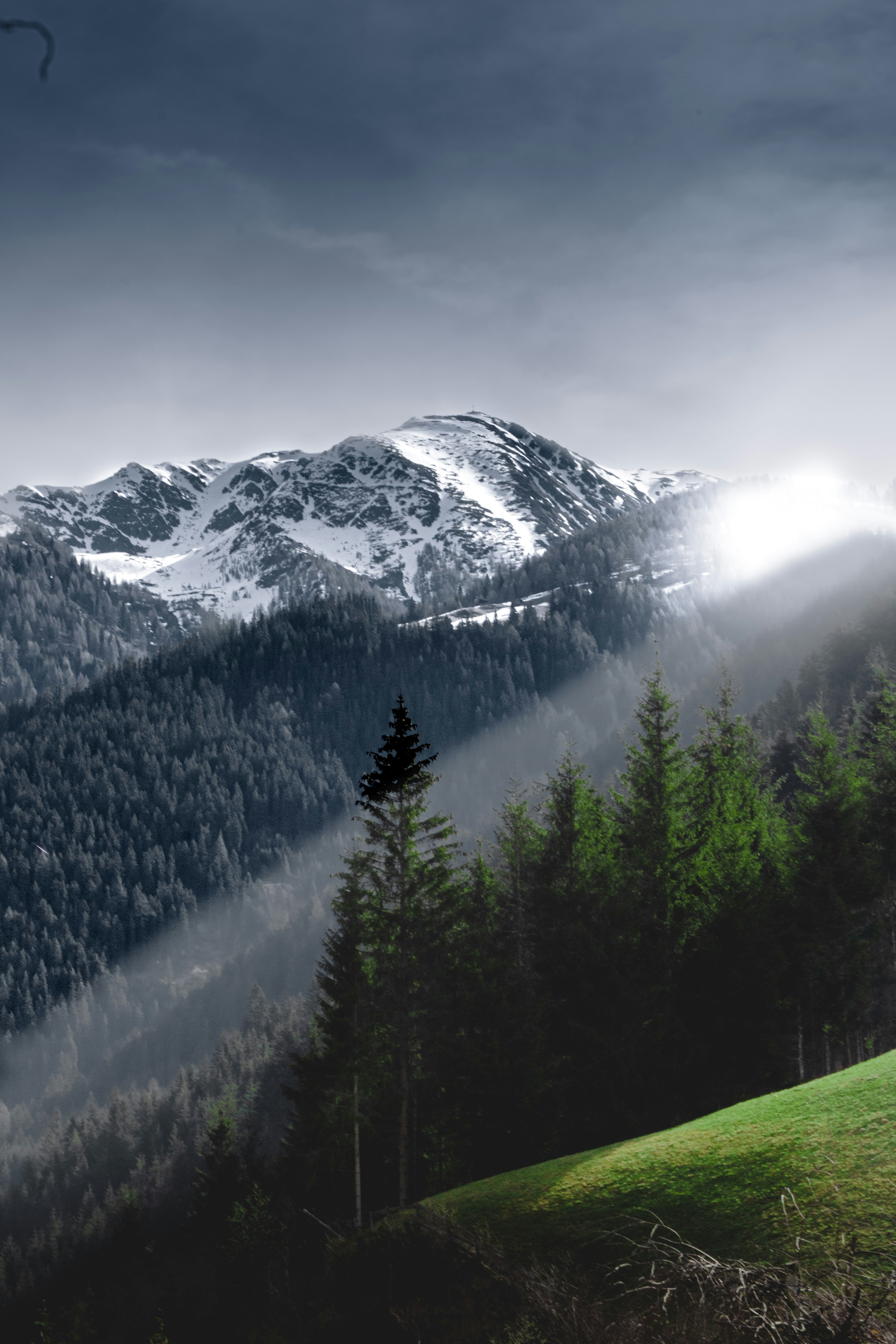 Photo by williandepaulaa