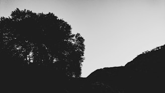 Minimalist monochrome mountain silhouette with sharp, clean lines against white space.