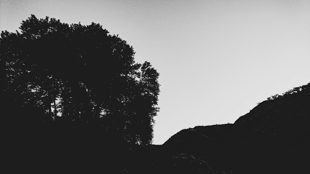 Minimalist monochrome mountain silhouette with sharp, clean lines against white space.