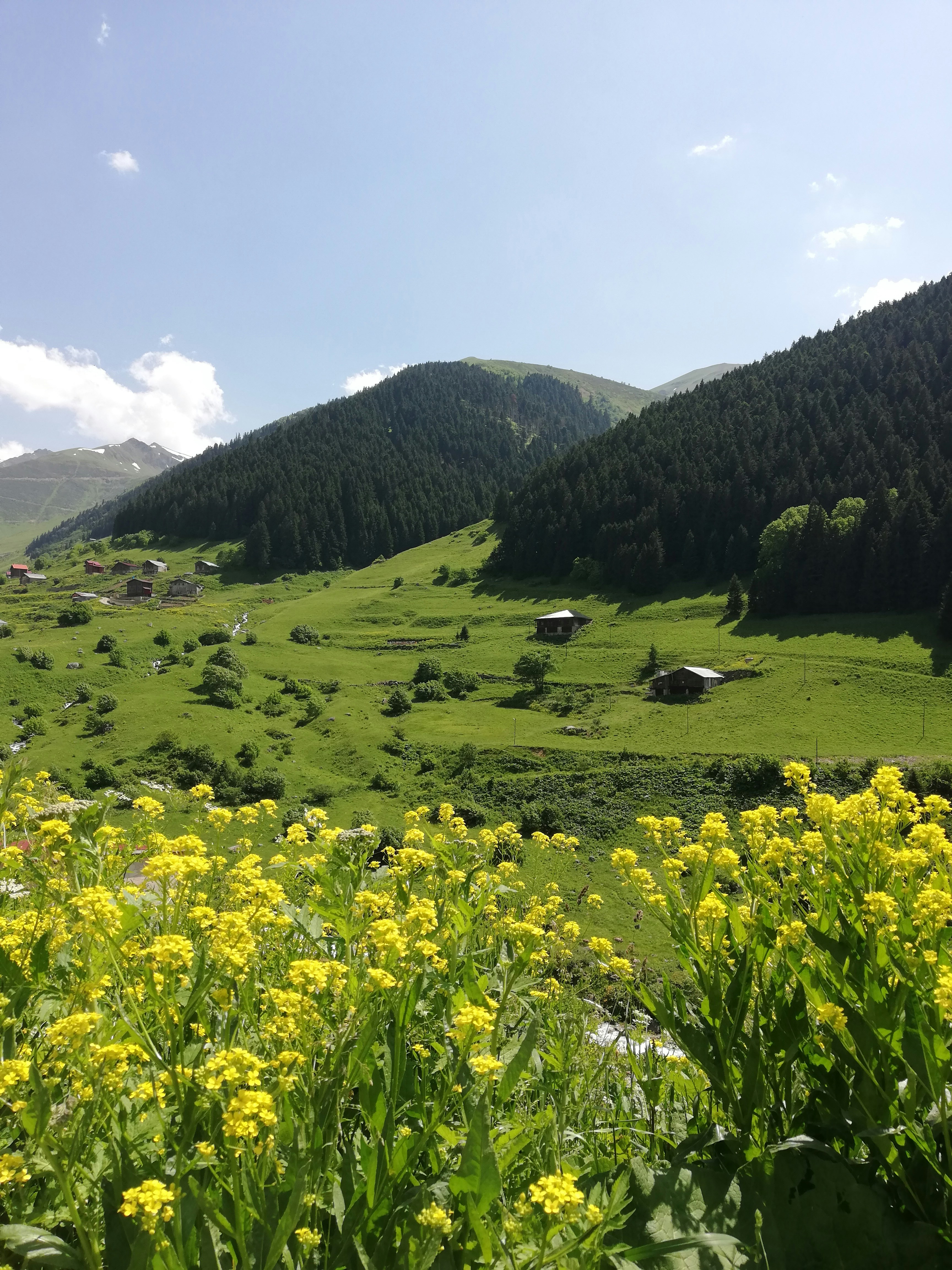 Photo by nurallah_tr