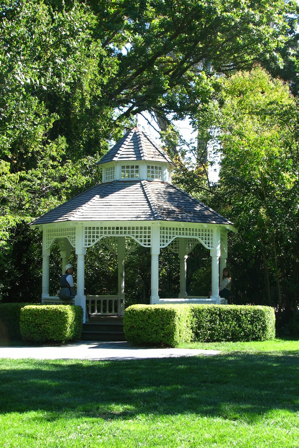 white and blue wooden house surrounded by green trees during daytime