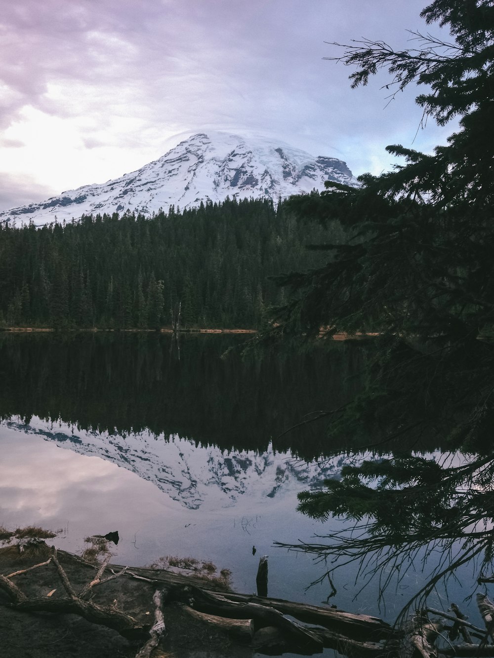 green trees near lake and snow covered mountain during daytime