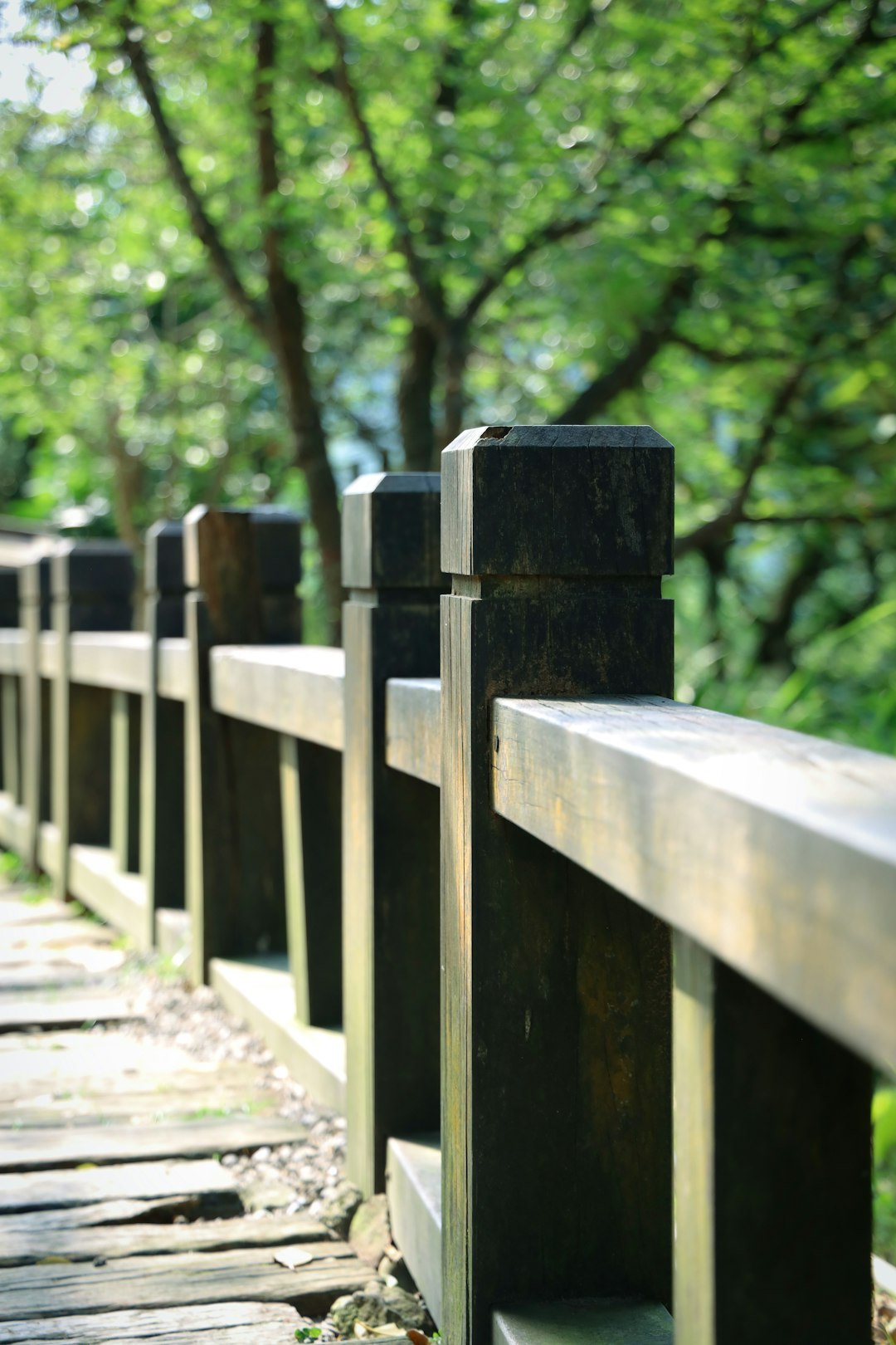 brown wooden fence on forest during daytime