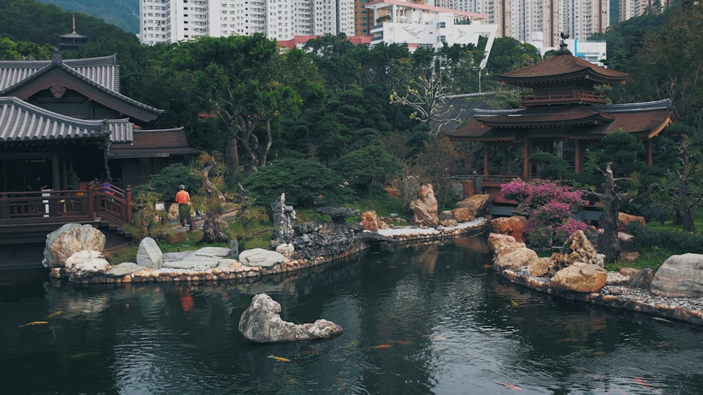 people sitting on brown wooden bench near river during daytime