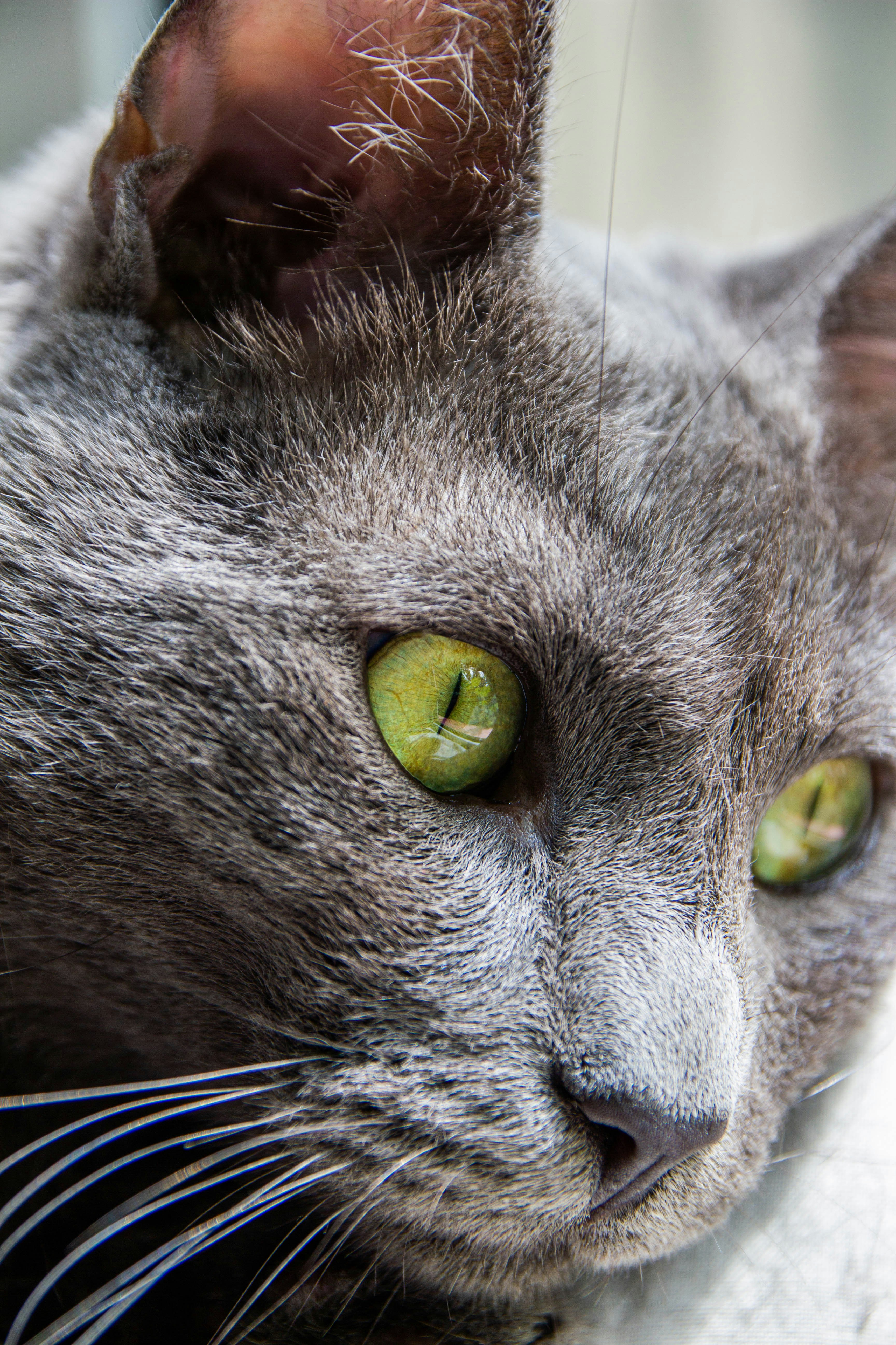 Photo by coralineart