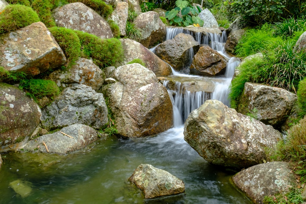 green moss on gray rocks beside river